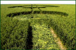 Stanton St Bernard, Wiltshire crop circle, aerial photo 4