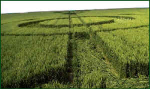 Stanton St Bernard, Wiltshire crop circle, aerial photo 3
