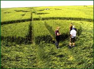 Stanton St Bernard, Wiltshire crop circle, aerial photo 2