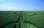 Stanton St Bernard, Wiltshire crop circle, aerial photo 6