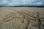 Stanton St Bernard, Wiltshire crop circle, aerial photo 14
