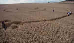 Stanton St Bernard, Wiltshire crop circle, aerial photo 11