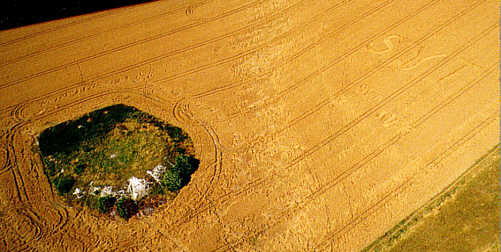 Mill Hill, Sussex crop circle, aerial photo 11