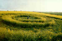 Tormarton, Somerset crop circle, aerial photo 5