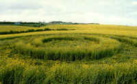 Tormarton, Somerset crop circle, aerial photo 6