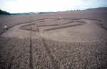 Upavon, Wiltshire crop circle, aerial photo 5