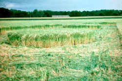 Escrick Park Estate, Yorkshire crop circle, aerial photo 6