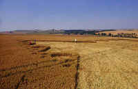 West Kennett, Wiltshire crop circle, aerial photo 2