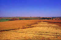 West Kennett, Wiltshire crop circle, aerial photo 6