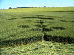 West Overton, Wiltshire crop circle, aerial photo 4