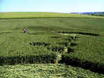 West Overton, Wiltshire crop circle, aerial photo 5