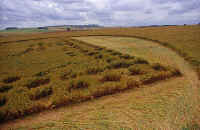 Windmill, Wiltshire crop circle, aerial photo 5