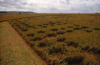 Windmill, Wiltshire crop circle, aerial photo 6