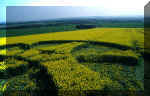 Woodborough Hill, Wiltshire crop circle, aerial photo 2