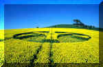 Woodborough Hill, Wiltshire crop circle, aerial photo 4