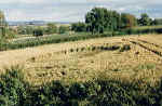 ChaffeyMoor200050pc.jpg (7704 bytes)