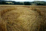 Pegsdon (1), Hertsfordshire crop circle, aerial photo 5