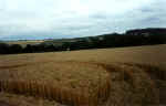 Pegsdon (1), Hertsfordshire crop circle, aerial photo 8