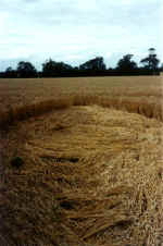 Pegsdon (1), Hertsfordshire crop circle, aerial photo 7