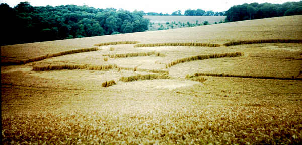 Stonor House, Oxon/Bucks crop circle, aerial photo 5