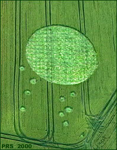 Adams Grave, Wiltshire crop circle, aerial photo 2
