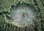 Adams Grave, Wiltshire crop circle, aerial photo 9