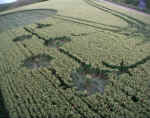 Adams Grave, Wiltshire crop circle, aerial photo 8