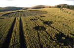 Adams Grave, Wiltshire crop circle, aerial photo 11