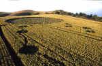 Adams Grave, Wiltshire crop circle, aerial photo 12