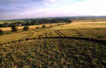 Adams Grave, Wiltshire crop circle, aerial photo 13