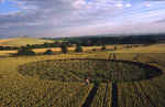 Adams Grave, Wiltshire crop circle, aerial photo 14