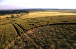 Adams Grave, Wiltshire crop circle, aerial photo 15