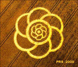 All Cannings Bridge, Wiltshire crop circle, aerial photo 3