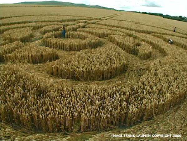 All Cannings Bridge, Wiltshire crop circle, aerial photo 15