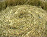 All Cannings Bridge, Wiltshire crop circle, aerial photo 9