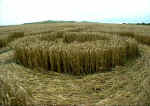 All Cannings Bridge, Wiltshire crop circle, aerial photo 8