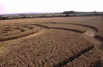 All Cannings Bridge, Wiltshire crop circle, aerial photo 10