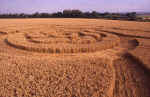 All Cannings Bridge, Wiltshire crop circle, aerial photo 14
