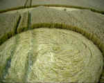 All Cannings Bridge, Wiltshire crop circle, aerial photo 19