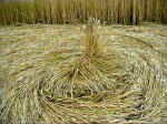 All Cannings Bridge, Wiltshire crop circle, aerial photo 18