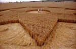 All Cannings Bridge, Wiltshire crop circle, aerial photo 24