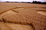 All Cannings Bridge, Wiltshire crop circle, aerial photo 25