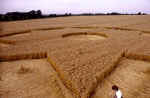 All Cannings Bridge, Wiltshire crop circle, aerial photo 26