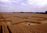 All Cannings Bridge, Wiltshire crop circle, aerial photo 27