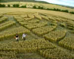Allington Down, Wiltshire crop circle, aerial photo 9