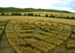 Allington Down, Wiltshire crop circle, aerial photo 8