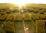 Allington Down, Wiltshire crop circle, aerial photo 7