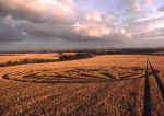 Allington Down, Wiltshire crop circle, aerial photo 11