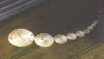stonehenge.2000ajpg.jpg (38018 bytes)