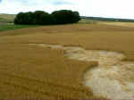 West Amesbury, Wiltshire crop circle, aerial photo 5